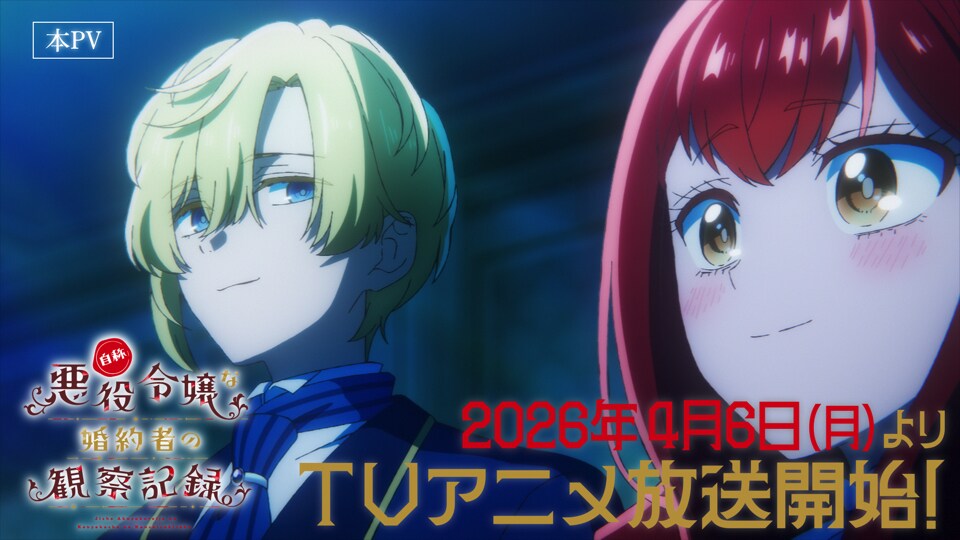 Póster de Observation Records of My Fiancée